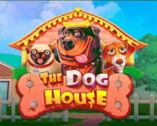 play the dog house in very well casino